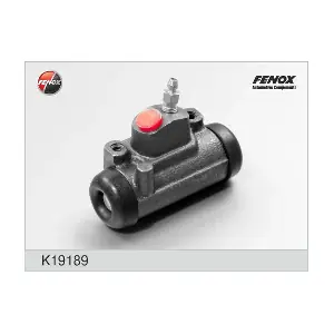 K19189 FENOX
