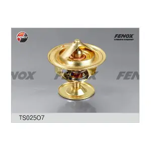 TS025O7 FENOX