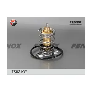 FENOX TS021O7