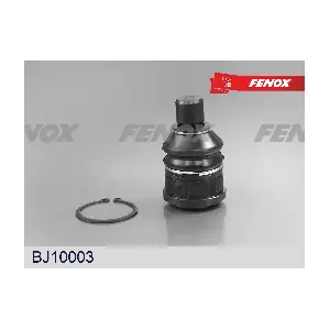 FENOX BJ10003