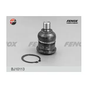 BJ10113 FENOX