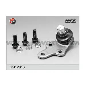 FENOX BJ12016
