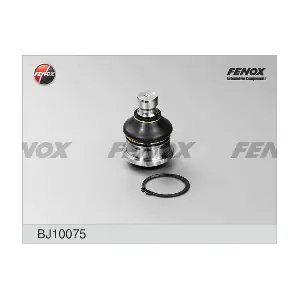 BJ10075 FENOX