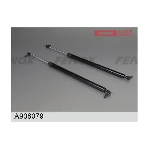 FENOX A908079