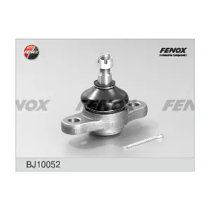 BJ10052 FENOX