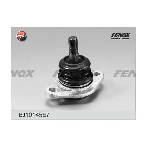 BJ10145E7 FENOX
