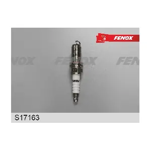 FENOX S17163