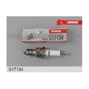 FENOX S17134