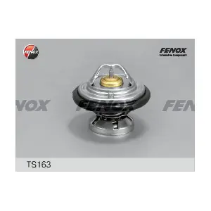 FENOX TS163