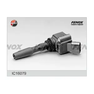 FENOX IC16079
