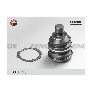BJ10123 FENOX