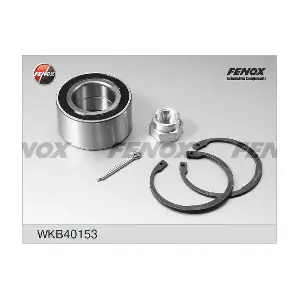 FENOX WKB40153