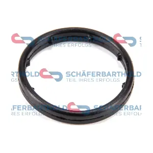 313 16 979 01 11 ORIGINAL Schaferbart