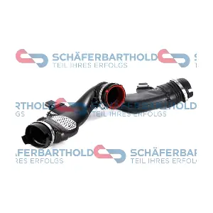 310 12 923 01 11 ORIGINAL Schaferbart