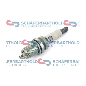 ORIGINAL Schäferbart 465 16 539 01 11
