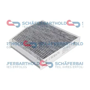 310 12 698 01 11 ORIGINAL Schaferbart