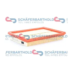 310 06 294 01 11 ORIGINAL Schaferbart