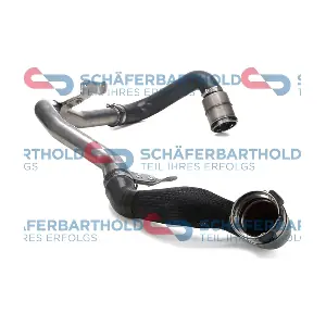 ORIGINAL Schäferbart 310 28 855 01 11