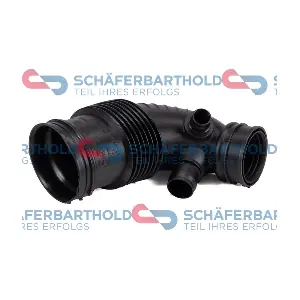 310 02 922 01 11 ORIGINAL Schaferbart