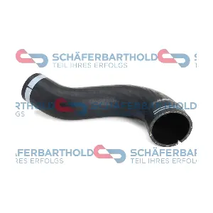 ORIGINAL Schäferbart 310 27 673 01 11
