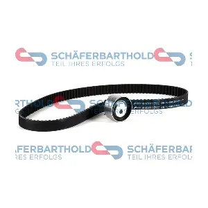 300 08 304 01 11 ORIGINAL Schaferbart