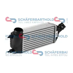 310 27 548 01 11 ORIGINAL Schaferbart