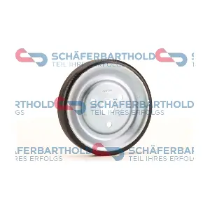 ORIGINAL Schäferbart 310 27 574 01 11