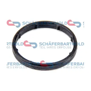 313 16 982 01 11 ORIGINAL Schaferbart