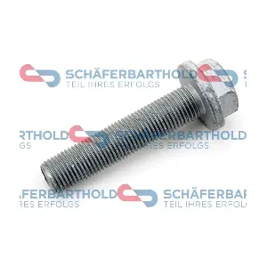 ORIGINAL Schaferbart 310 28 697 01 11