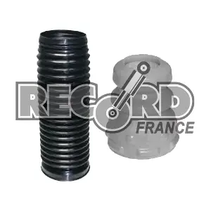 926059 RECORD FRANCE