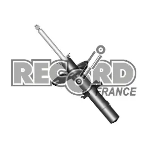 335046 RECORD FRANCE