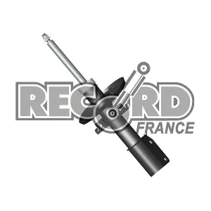 334744 RECORD FRANCE