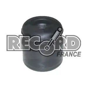 923715 RECORD FRANCE