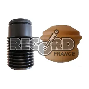 925891 RECORD FRANCE