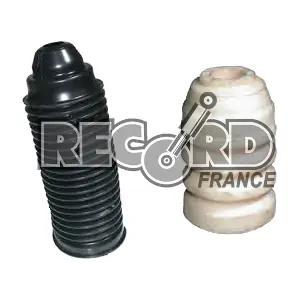 925919 RECORD FRANCE