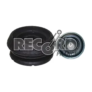 925761 RECORD FRANCE