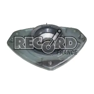 924136 RECORD FRANCE
