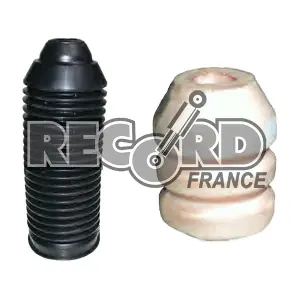 925921 RECORD FRANCE