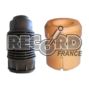925815 RECORD FRANCE