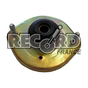 924137 RECORD FRANCE