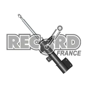 RECORD FRANCE 334484