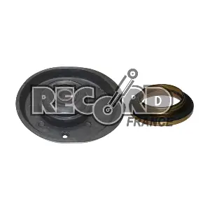 926084 RECORD FRANCE