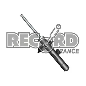 RECORD FRANCE 104431