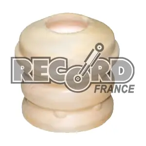 923814 RECORD FRANCE
