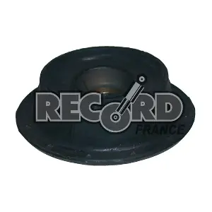 RECORD FRANCE 924961