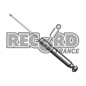 RECORD FRANCE 104813