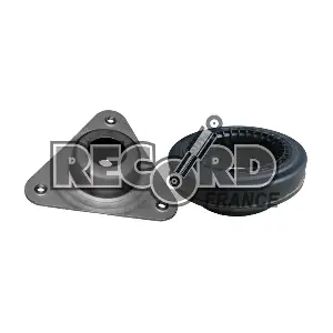 926085 RECORD FRANCE