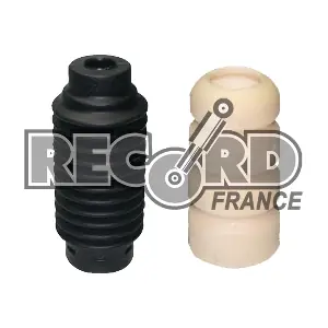 926004 RECORD FRANCE
