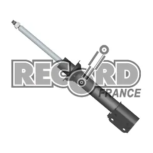 RECORD FRANCE 103928