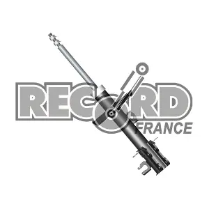 RECORD FRANCE 334624